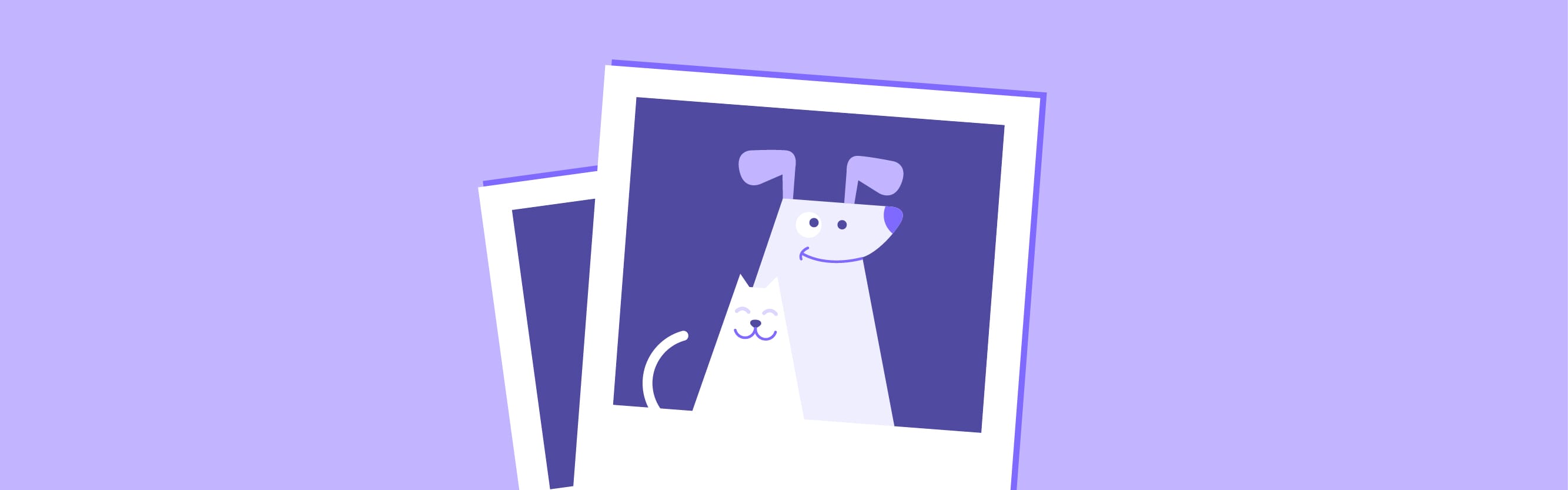 instagram pet cover