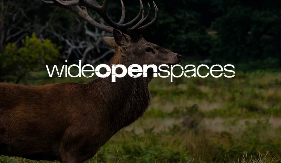 The life of a niche publisher: Q&A with Wide Open Spaces