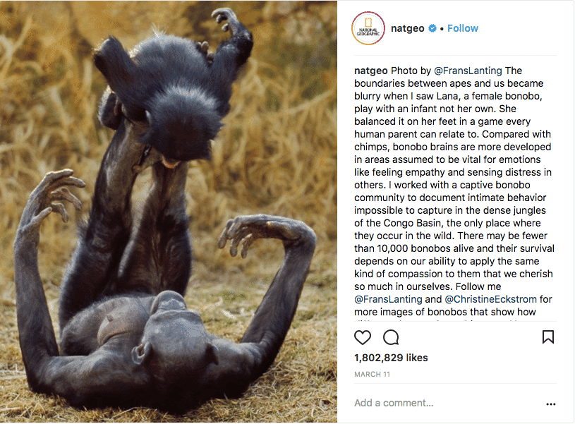 National Geographic Instagram captions
